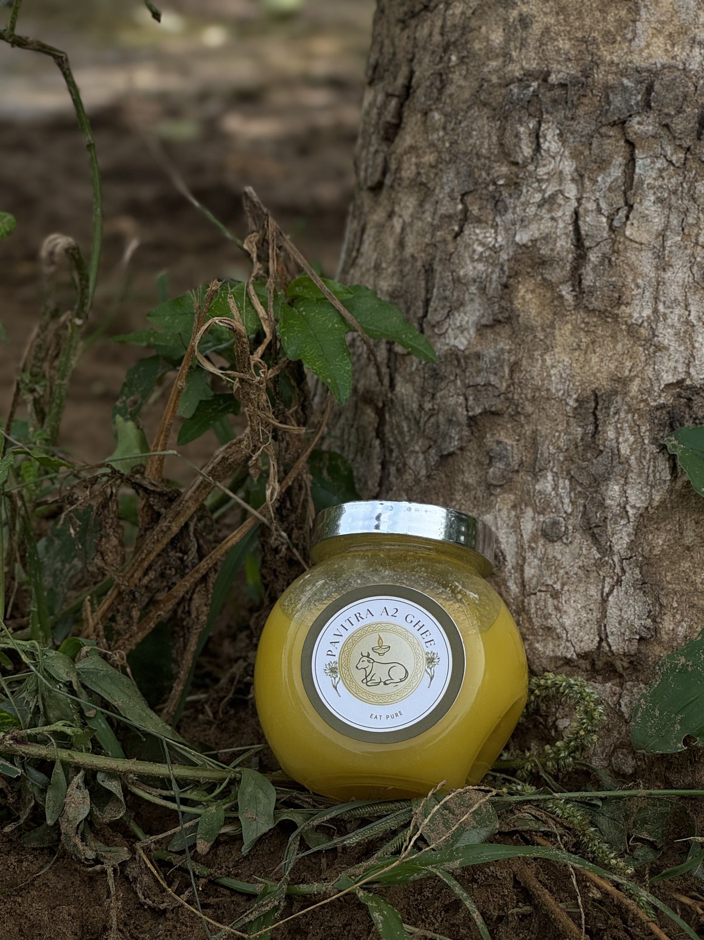 A2 Gir Cow Ghee 200ML